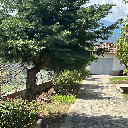 Zeusplace Karia Natura