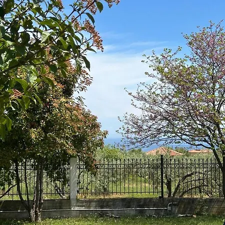 Zeusplace Karia Natura *