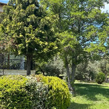 Zeusplace Karia Natura * Лептокария
